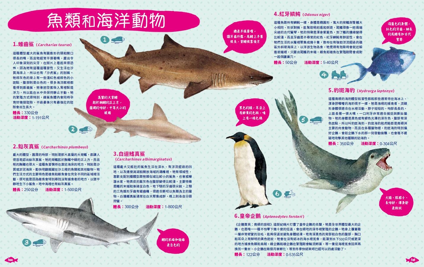 《世界上有哪些魚？ 》 太平洋的魚類與海洋生物