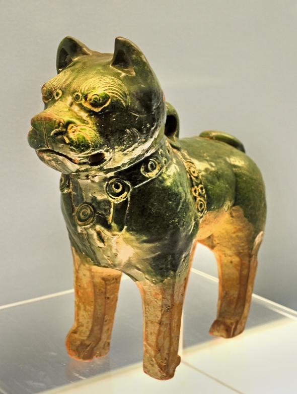 這尊來自東漢（公元25年 -220 年）的釉面陶瓷狗可能代表了一隻鬆獅犬或沙皮狗。在古代中國，這兩個品種都是重要的工作犬。PHOTOGRAPH BY PETER HORREE, ALAMY