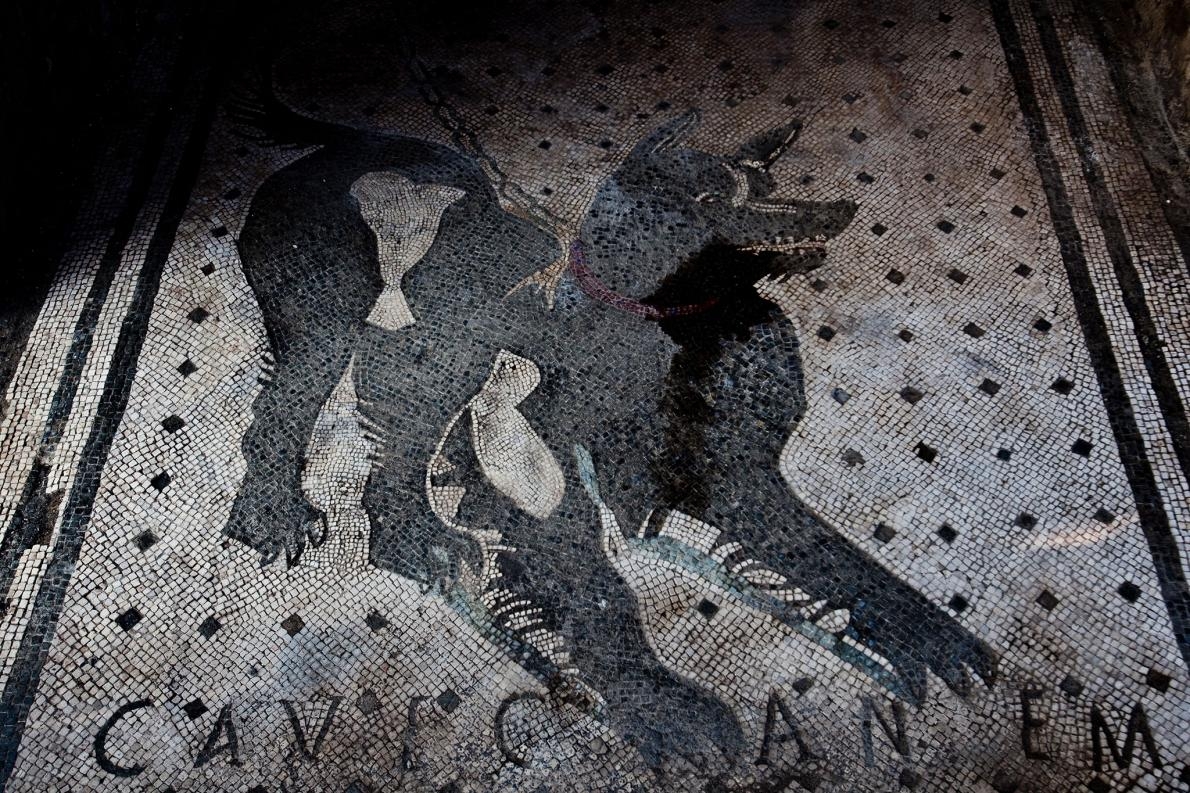 這幅位於龐貝城（Pompeii）一座建築物入口處的馬賽克 上標示著「<i>Cave Canem</i>」──拉丁文「小心惡犬」的意思。它在公元79年的維蘇威火山（Vesuvius）爆發中被留存了下來。PHOTOGRAPH BY ALESSANDRA BENEDETTI, CORBIS/GETTY