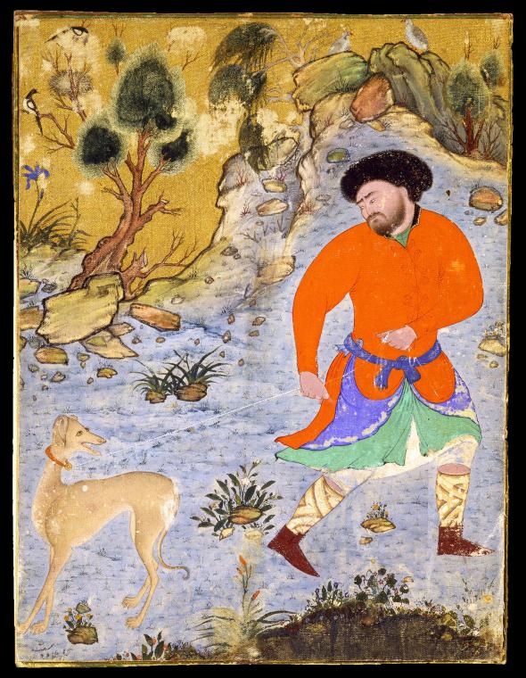 到了中世紀時期，細犬（sighthounds）──比如這幅16世紀波斯細密畫（Persian miniature）上所描繪的薩路基獵犬（Saluki），受到亞洲與歐洲菁英飼主的青睞。ILLUSTRATION BY HERITAGE IMAGE PARTNERSHIP LTD, ALAMY