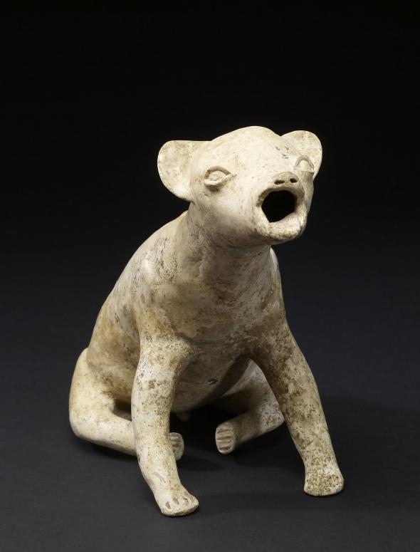 這隻有2000年歷史的「嗥叫的狗」雕像出土於西墨西哥科利馬州（Colima）。它或許是要呈現前哥倫布時期（Pre-Columbian era）該地區聞名的一種無毛犬品種。PHOTOGRAPH COURTESY WALTERS ART MUSEUM