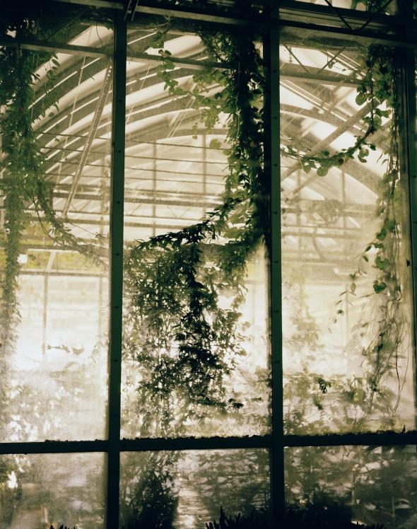 隸屬英國皇家邱植物園（Royal Botanic Gardens, Kew）的千禧年種子庫，有一棟溫室專供現場研究之用。PHOTOGRAPH BY DORNITH DOHERTY
