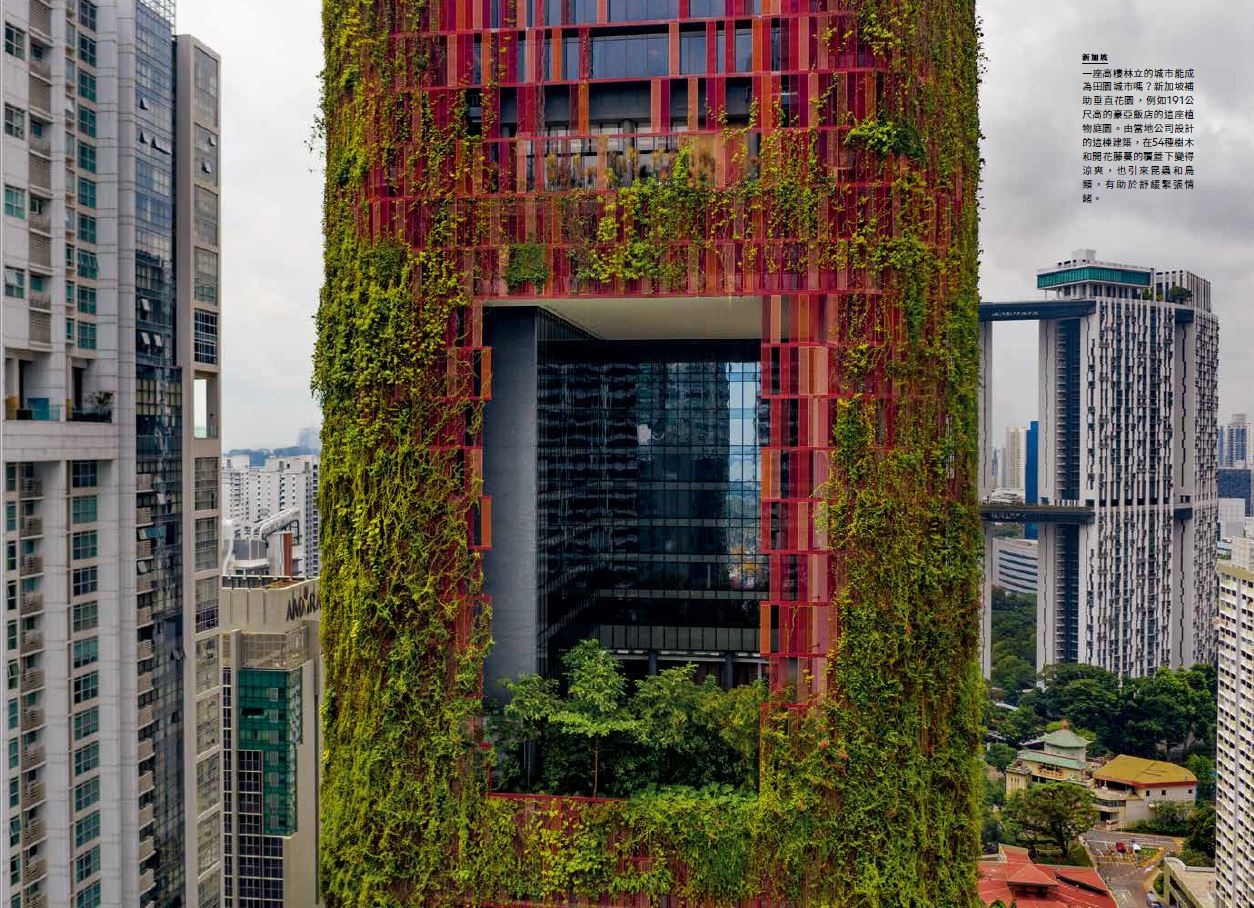 新加坡補助垂直花園，例如191公尺高的豪亞飯店的這座植物庭園。由當地公司設計的這棟建築，在54種樹木和開花藤蔓的覆蓋下變得涼爽， 也引來昆蟲和鳥 類， 有助於舒緩緊張情緒。