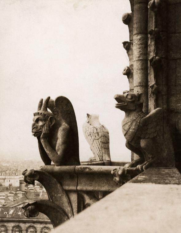 名為「思提吉」（Le Stryge）──也就是「吸血鬼」──的滴水嘴獸，就安坐在聖母院的北塔上面。這座滴水嘴獸是在1800中葉翻修聖母院時加上去的。 PHOTOGRAPH BY EMIL P. ALBRECHT, NAT GEO IMAGE COLLECTION