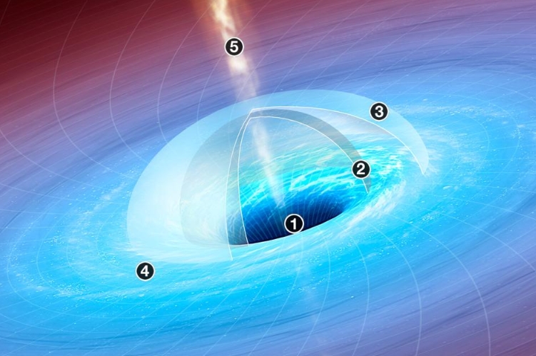 超大質量黑洞的質量可能達到太陽的數十億倍，而它們的起源至今仍是未解之謎。JASON TREAT AND ALEXANDER STEGMAIER, NGM STAFF. ART BY MARK A. GARLICK SOURCES: AVERY BRODERICK, PERIMETER INSTITUTE FOR THEORETICAL PHYSICS, UNIVERSITY OF WATERLOO, CANADA; UCLA GALACTIC CENTER GROUP
