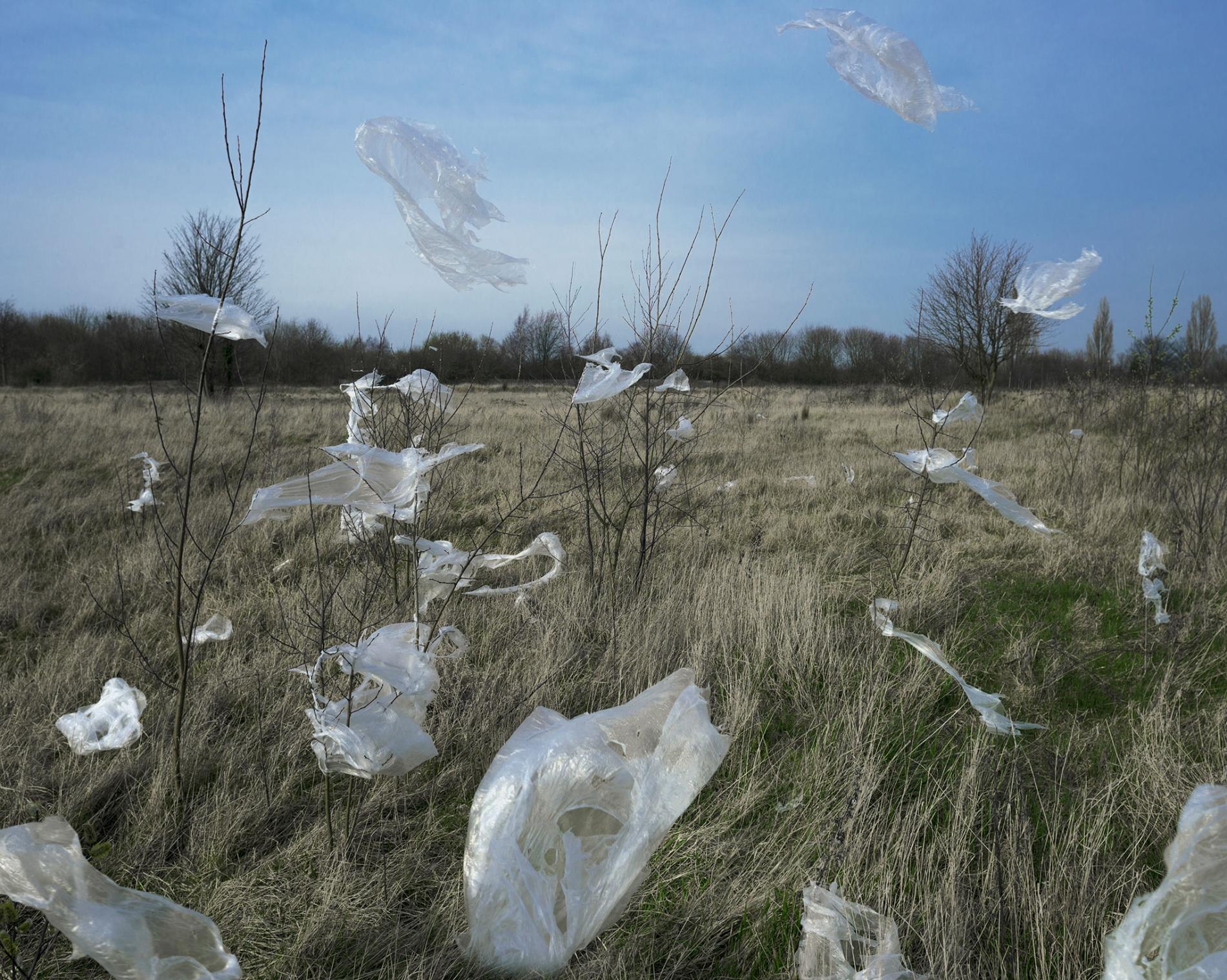 塑膠碎屑隨風飄散全球，它們最後會破碎成微小的顆粒。PHOTOGRAPH BY ROBERT BROOK, CORBIS/GETTY IMAGES 
