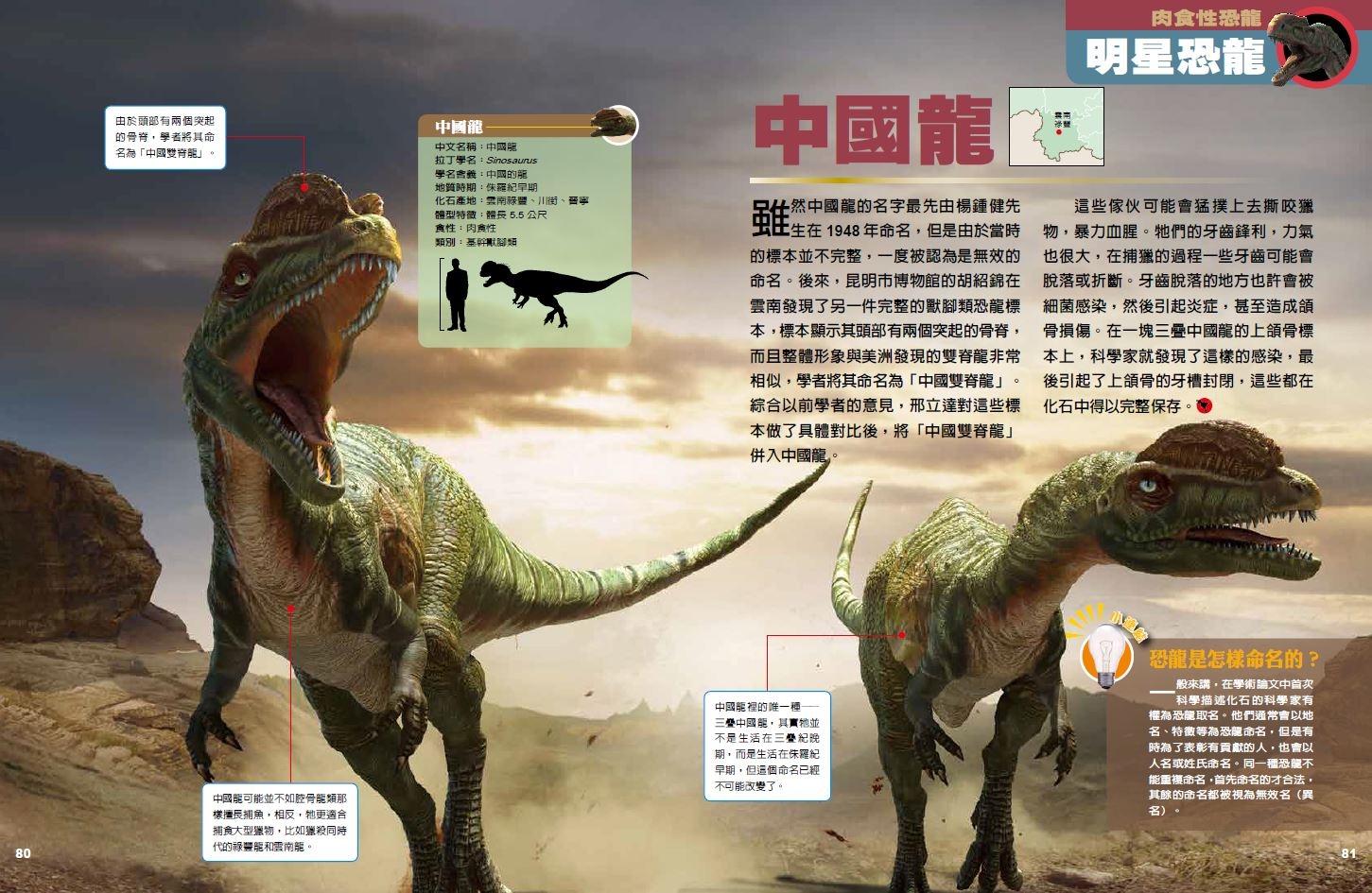 《國家地理終極中國恐龍百科》中國龍