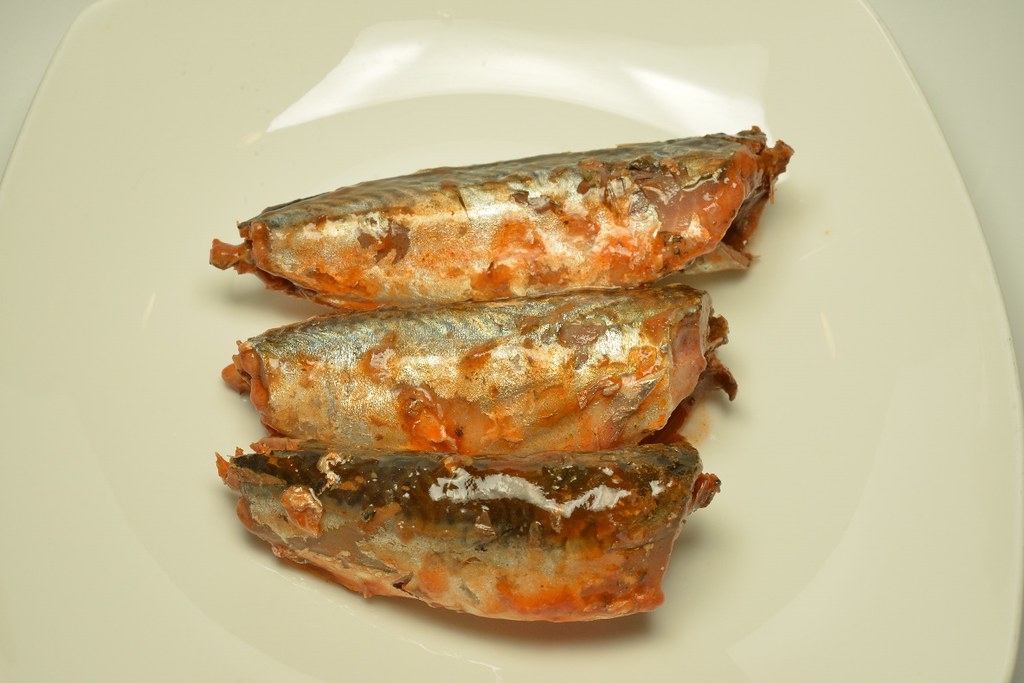 沙丁魚罐頭裡的裝了小鯖魚幼魚。