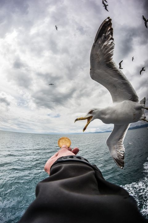 Photograph by Boris Preslavski, National Geographic Your Shot