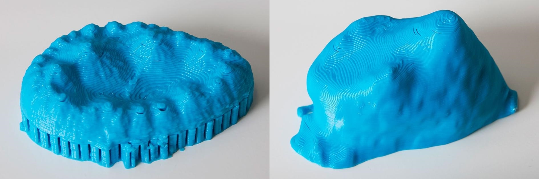 這對3D列印模型展示出兩種已滅絕鱷魚表親的牙齒複雜形狀。這些形狀顯示這些久遠以前的鱷魚吃素。 PHOTOGRAPH BY MARK JOHNSTON, NHMU