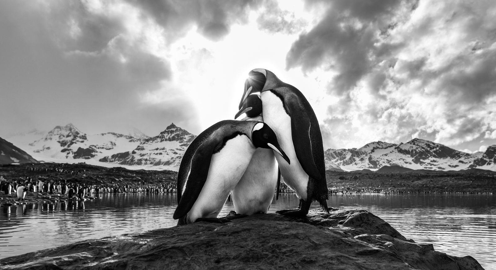 Photograph by Jonathan Lee, National Geographic Your Shot
