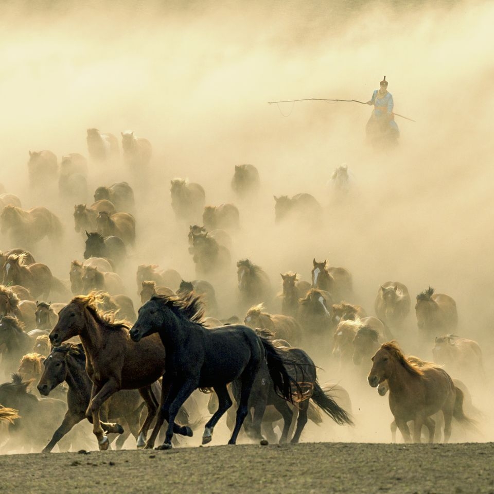 Photograph by Sharon Wan , National Geographic Your Shot