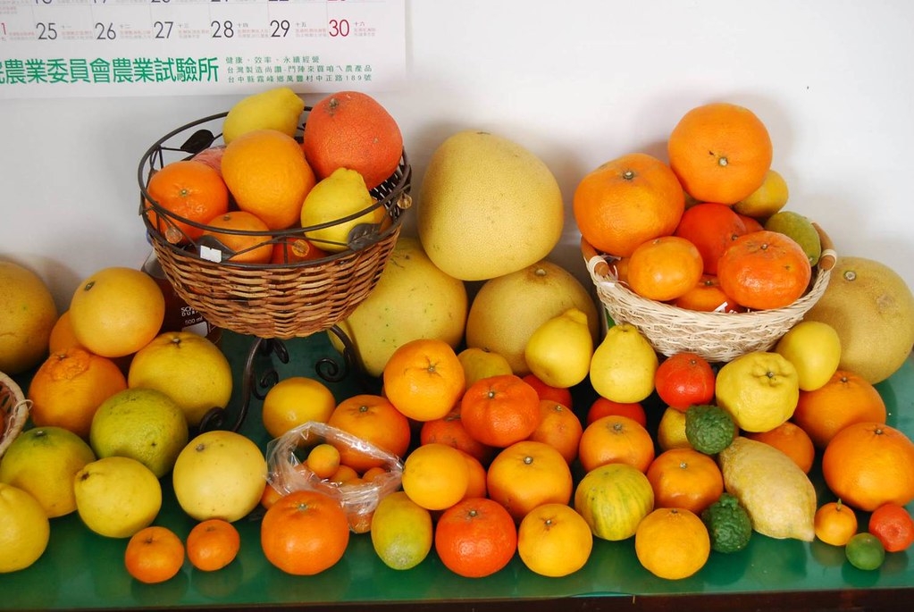 多樣的柑橘品種。圖片來源：農試所