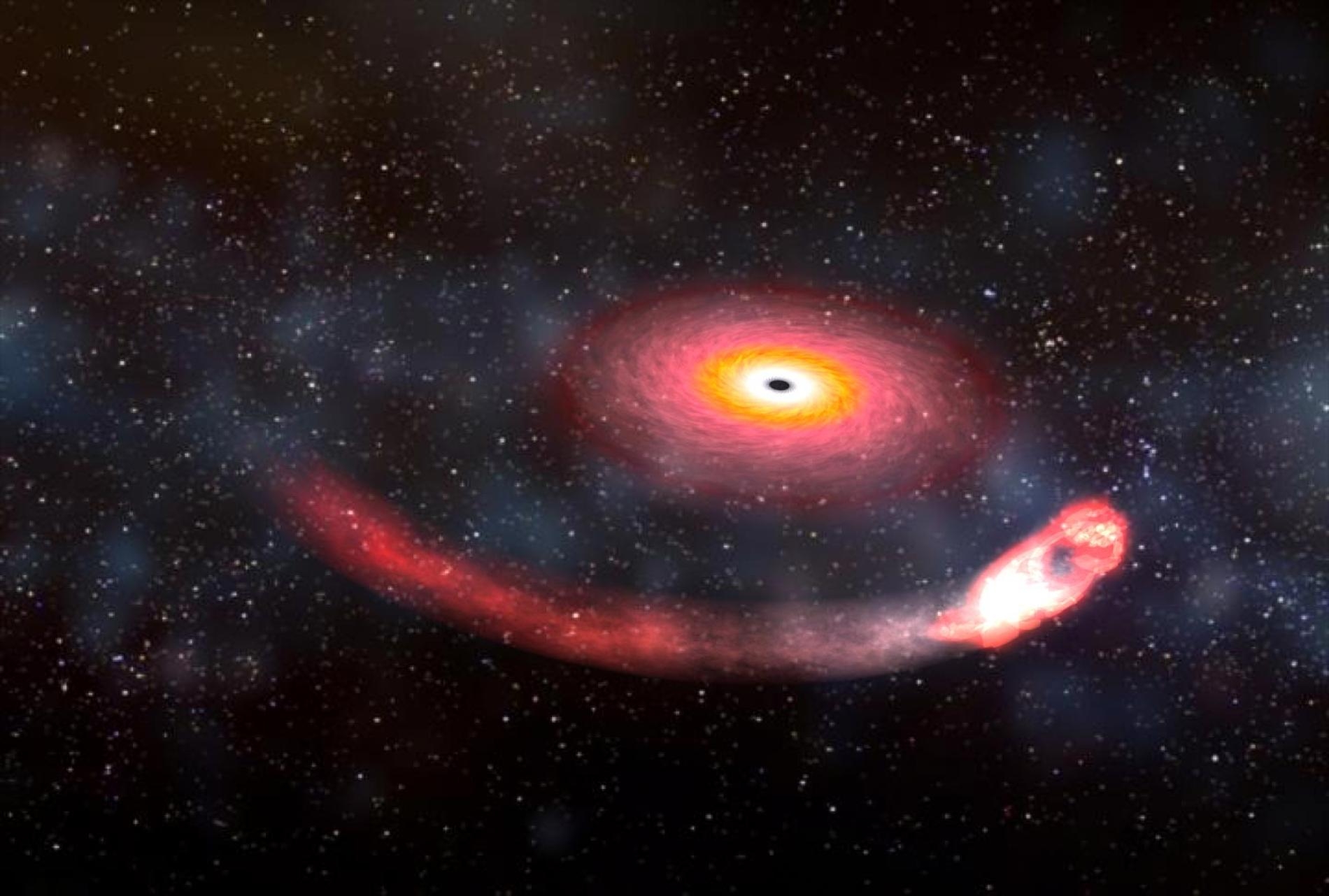 這張藝術家的想像圖描繪出黑洞吞噬中子星的情景。中子星繞著黑洞旋轉，黑洞巨大的重力將中子星撕成碎片，這種現象稱為「潮汐力崩解」（tidal disruption）。ILLUSTRATION BY DANA BERRY, NASA