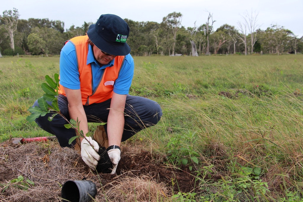 環團發起的種樹計畫。圖片來源：Greenfleet Australia（CC BY-NC-ND 2.0）