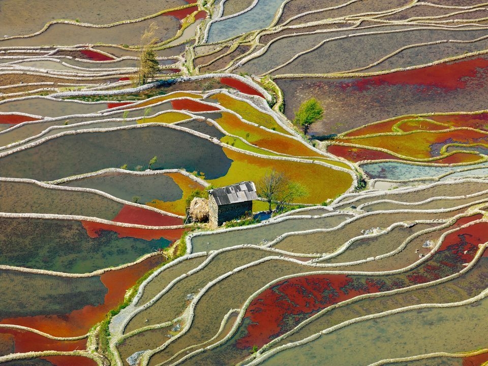 Photograph by thierry bornier, National Geographic Your Shot