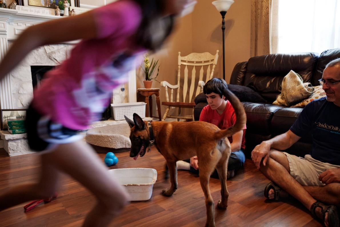 <b>寄養家庭</b> – 古鐵雷斯（Gutierrez）家收養了一隻參與軍事計畫的幼犬。這些狗兒在基地出生，之後會和寄養家庭一起生活五個月，再接下來就會進入受訓階段。PHOTOGRAPH BY ADAM FERGUSON, NATIONAL GEOGRAPHIC 