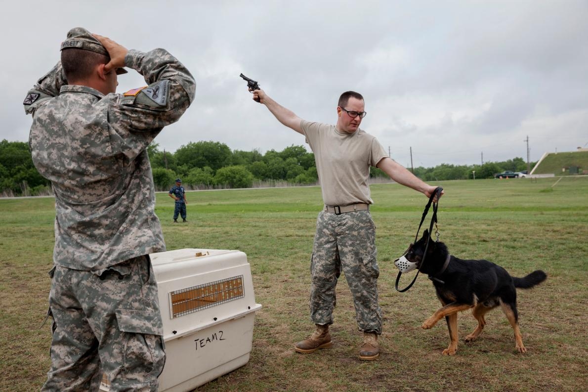 <b>艱困訓練</b> – 學生要訓練狗兒適應槍砲聲。PHOTOGRAPH BY ADAM FERGUSON, NATIONAL GEOGRAPHIC 