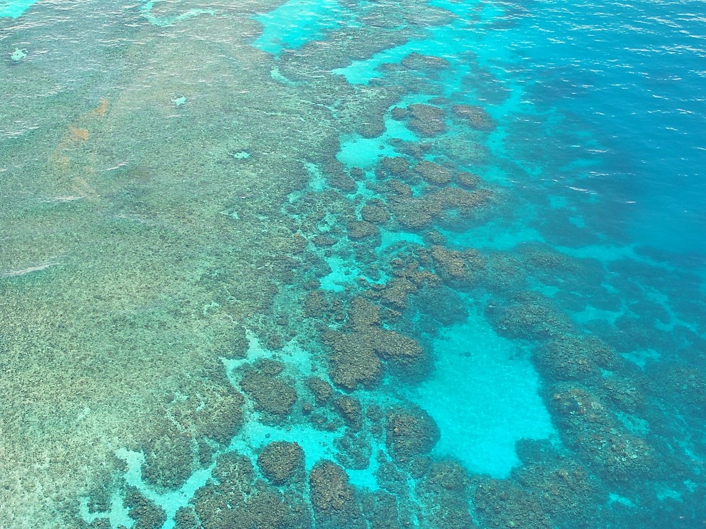 科學家質疑，澳洲大堡礁因主管機關怠忽職守而受到有毒物質汙染。來源：Gaby Stein/Pixabay免費圖庫