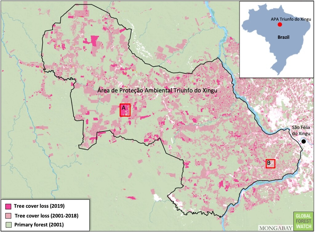 不到20年前，欣古勝利保護區內幾乎都是原始林，但如今有許多區域為了農業使用已被砍伐殆盡。圖片來源：GLAD/UMD，全球森林觀察（Global Forest Watch）提供。