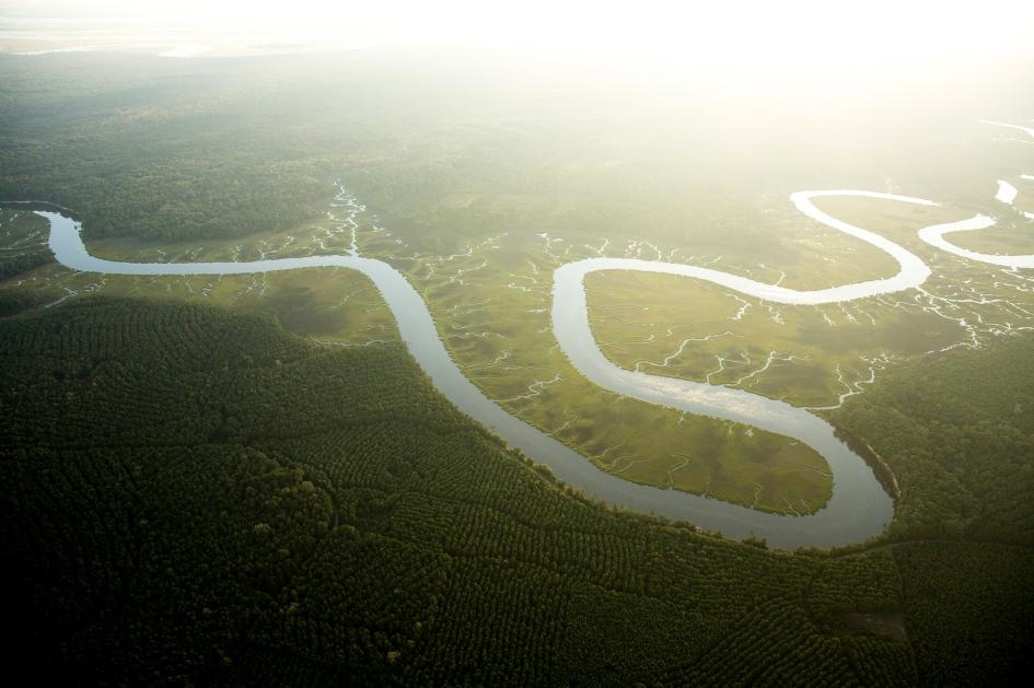 升高的 CO2濃度加上變暖的氣溫，二者結合的結果是植物消耗的水量增加。這將導致如這條南卡羅來納州阿十波河（Ashepoo River）的河流的水量下降。 PHOTOGRAPH BY VINCENT J. MUSI, NAT GEO IMAGE COLLECTION