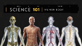 101科學教室：人體解密