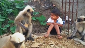 男童與他的猴子朋友們