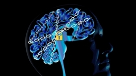 成癮的科學──受毒品影響的大腦