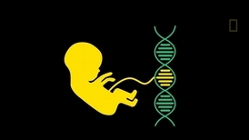 CRISPR基因編輯技術：演化的捷徑
