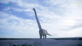 陸生動物體型極限––巴塔哥泰坦巨龍！