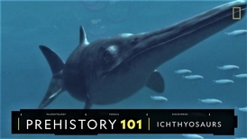 101史前教室：叱吒遠古海洋的魚龍