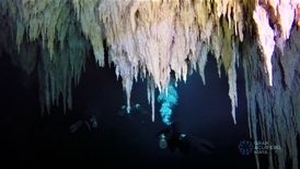 「要記得憋氣！」墨西哥發現全世界最長水底洞穴