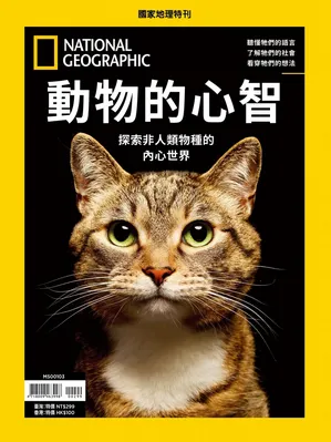 動物的心智