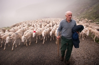 庇里牛斯山的牧羊人