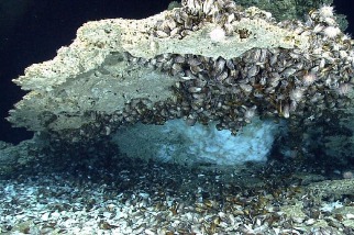 藏在海底下的「定時碳炸彈」，可能會讓暖化更加惡化