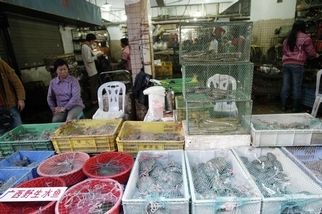 隨著WHO宣告冠狀病毒緊急事件，愈來愈多中國人開始敦促終結野生動物市場