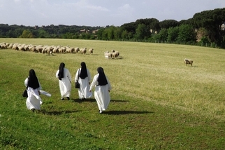 修女們的羅馬假期