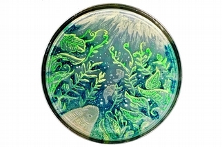微生物藝術
