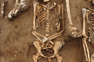 對黑死病的考古發現，展現了瘟疫災難鮮為人知的新面向
