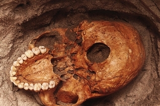這些1000年前的骨骸，揭露東非最早的海嘯災難
