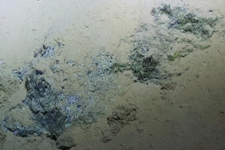馬里亞納海溝疑似微生物的物質，暗示了木星衛星可能的生命樣貌
