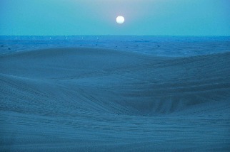 藍色沙漠