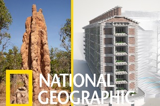 解碼自然：受到白蟻丘的啟發，這棟非洲大樓不用冷氣就能「自然涼」！