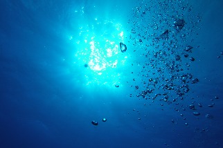 研究：塑膠微粒入海形成「海洋塑膠雪花」 恐危害海洋生態、進入食物鏈