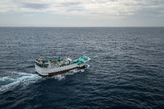 船員說，人權侵犯與野生動物犯罪在臺灣遠洋漁船上屢見不鮮 