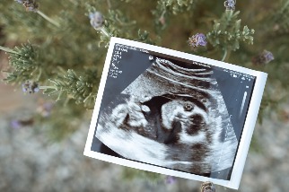 研究首度發現：胎盤中也有塑膠微粒 科學家憂已進入嬰兒體內
