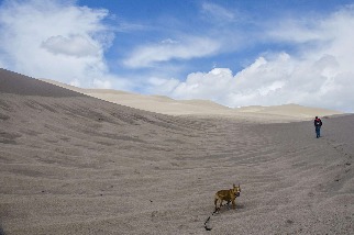沙丘漫步