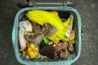 全球食物浪費翻倍 聯合國報告：每年被丟棄糧食逼近10億噸
