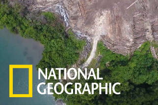 美國部分住宅建案可能加速巴紐熱帶雨林的毀滅