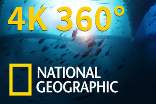 4K 360° VR：老舊鑽油平臺下方的海底生態樂園 